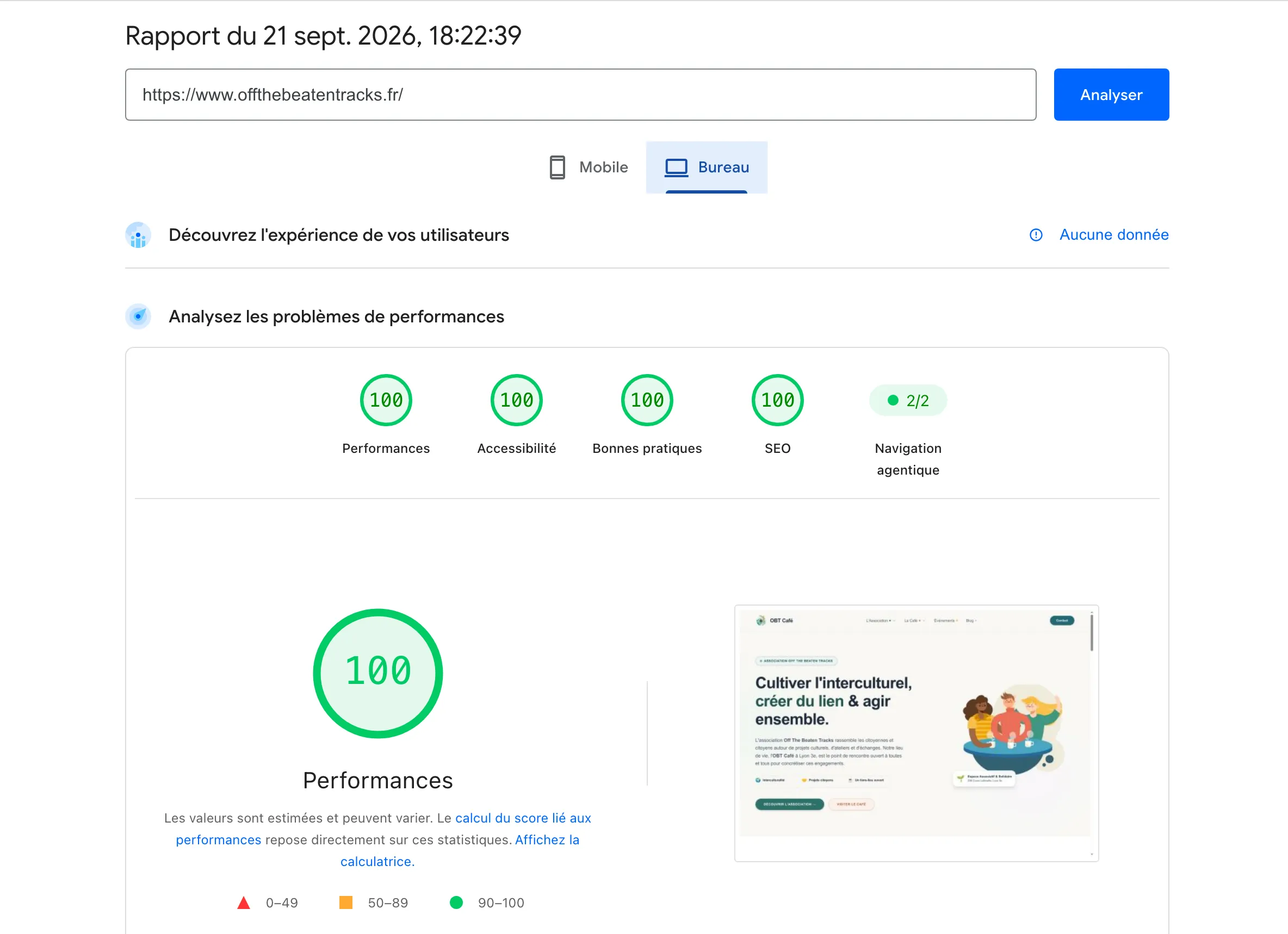 Capture d'écran du rapport Google PageSpeed Insights affichant un score de 100 sur 100